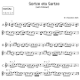 sortze_eta_sartze_en_sol_mineur.png